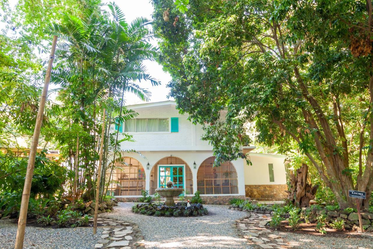 Angeli Gardens Boutique Hotel San Pedro Sula Exterior foto